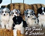 pet foods & supplies